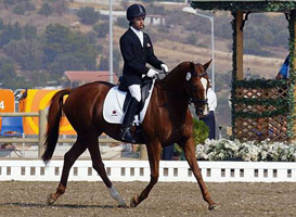 Dax & Copper Rose - Paralympics in Athens Greece, 2004