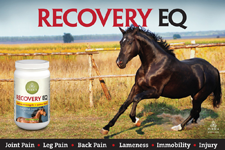 Recovery EQ Logo